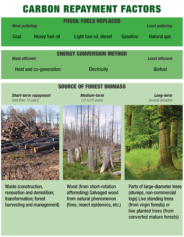 biomass_chart