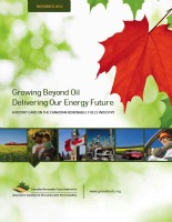 Renewable fuels report