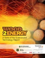 Wood 2 Energy report