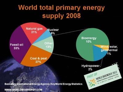 World primary energy supply
