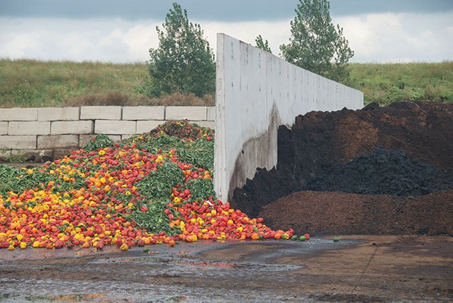 Opinion: Here’s how food waste can generate clean energy