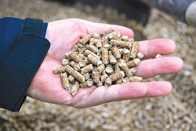 A carbon negative future? How switching from coal to wood pellets