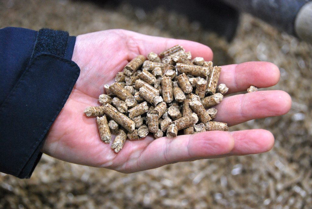 2022 wood pellet markets outlook - Canadian Biomass Magazine