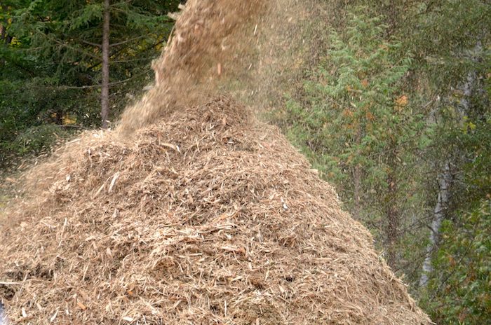 Federal budget recognizes benefits of forest biomass: FPAC