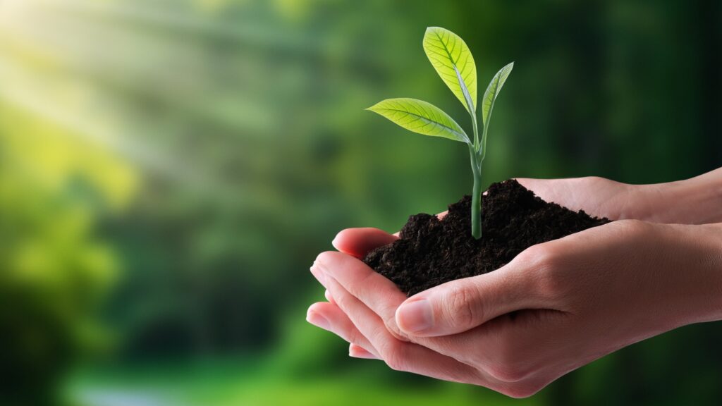 hands holding soil with a plant sprouting